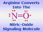 nitric_oxide